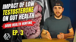 Low Testosterone&rsquo;s Impact On IBD, Bloodwork & hCG, Actionable Steps, Reading Your Comments | GHH #3