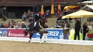 Hannoveraner Reitpferde-Championat 2013 - Vierj&auml;hrige Stuten und Wallache