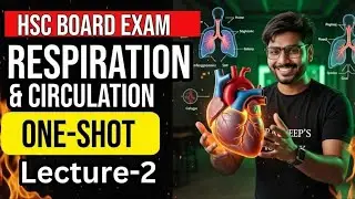 Respiration and Circulation | HSC Biology | Full Chapter One Shot