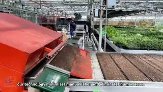 Greenhouse automated seedling cultivation equipment, please contact me.