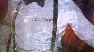 Apollo Poeta - Bird Cage