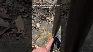 Land Surveyors Office - Australia - Boundary Marking #nature #surveyor #satisfying