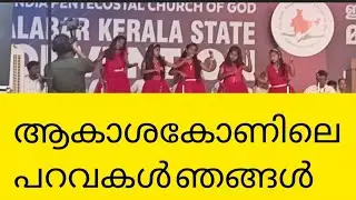 ആകാശ കോണിലെ പറവകൾ ഞങ്ങൾ | Christian Action song #youtube #song 