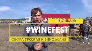 WineFest Золотая  Балка