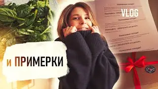 оконные ВРЕДИТЕЛИ и ПРОБЛЕМЫ с соседями, королева ВЕЧЕРИНОК, куриный РУЛЕТ, подарки VLOG- Senya Miro