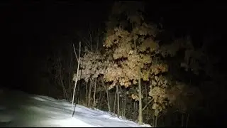 Vasi SURVIVAL  este live!,,, în căutarea lupilor 🐺