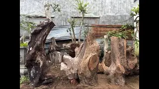ĐỒ GỖ VIỆT NAM đang phát trực tiếp!#gosuado #gỗtrắc