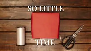 Too Busy with Holiday | Chicago House Cleaning