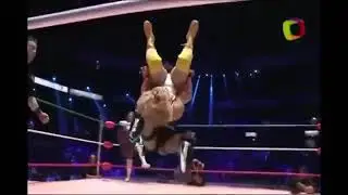 Zeuxis Package Piledriver & Pin