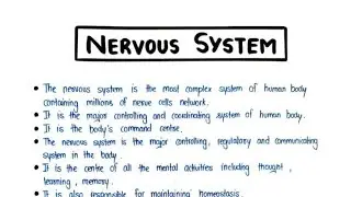 Neuron detail information✅ Nervous system #viralvideo #anatomy #neuroscience #nursing #viralvideo
