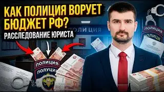 ШОК-контент / Как полиция ворует деньги из бюджета / оценка юриста