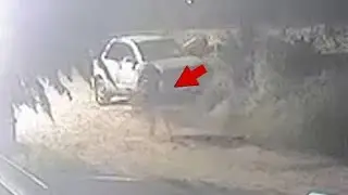 Running dog appears to transform into a man in creepy video