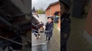 Vlog: Alltag und &Uuml;berraschung f&uuml;r Emilia 🐴🐴🐴🎉🎉 #pferdem&auml;dchen #reiter #fyp#shorts#pferde