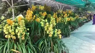Dalat muslim tour