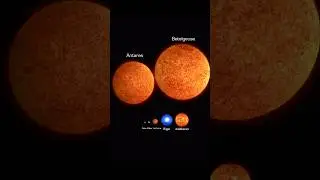 Star Sizes & True Colours Compared | From the Sun to Betelgeuse... #shortsfeed #shorts