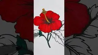 Flower Outline Drawing with Circle🌹#sketchbookbyabhishek #shorts#drawingbasics #drawing #viral