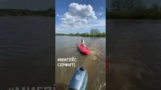 Миг серфит сегодня  по полной ) #мигпёс #новоеархангельское