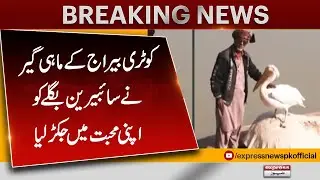 Guest Bird Went Crazy Over Sindh&rsquo;s Hospitality | Sindh River | Pakistan News