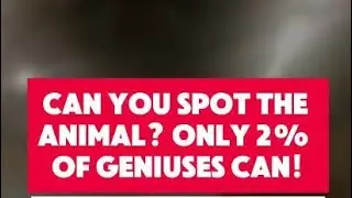 Can You Spot the animal | Only 2% of genius can | Mirage Master  is live! |