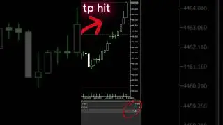 Forex Trading for Beginners in USA 🇺🇸 | How to Start Forex Step by Step (2026 Guide)