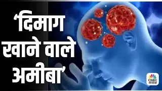 Deadly Brain-Eating Amoeba Kills 19 in Kerala | Shocking Facts