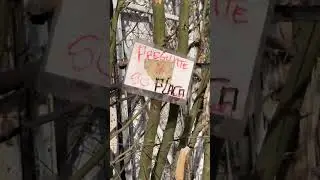 Placas perdidas, motores apagados y defensas caídas en charco del Blvd. Zaragoza
