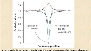 Detecting selection in genomes - part a