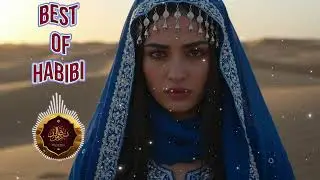 Habibi Deep House 2025 | Best Arabic Night Vibes & Party Remix