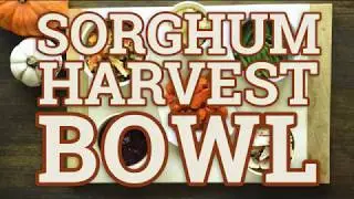 Sorghum Harvest Bowl