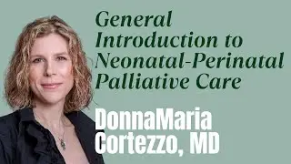 General Introduction to Neonatal-Perinatal Palliative Care