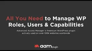 Manage WordPress Roles & Capabilities with Advanced Access Manager Plugin