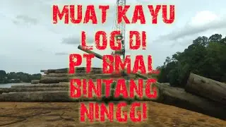 proses muat kayu log