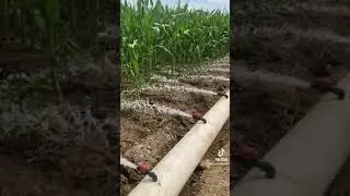 Agriculture moderne