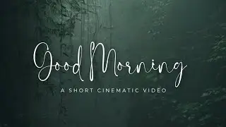 Morning Serenity in Dhaka City | Cinematic Short Film