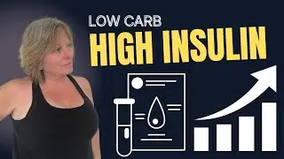 Insulin Resistance Without Carbs: Understanding Lipotoxicity