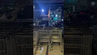 New Cairo by Night - 90th Street and visit to Oscars supermarket! #newcairo #egypt #explorecairo