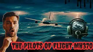 The Human Element The Pilots of Flight MH370