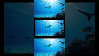 Kids Song: Seasons Wonder Trip | Magical Four Seasons Adventure Song for Kids #kidssongs