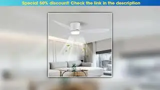 Flash Sale LED Ceiling Mounted Living Room Fan Light, Nordic Restaurant Decorative Ceiling Fan, Hou