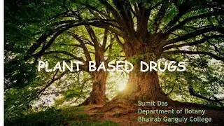 PLANT BASED DRUGS (English) by SUMIT DAS