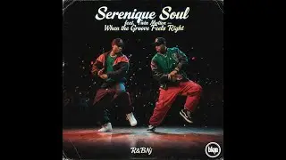 Serenique Soul feat  Twin Motion &ndash; When the Groove Feels Right Nj BKM