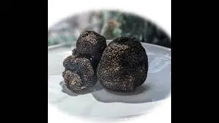 Food 101 in its fifth season, featuring  Truffle Sauce,Sea Urchin Sauce and B&eacute;chamel Sauce.