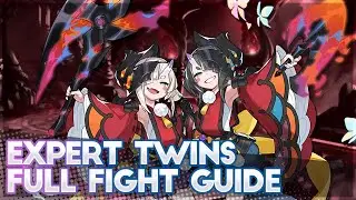 Ayaha and Otoha's Wrath (Expert) Guide - Dragalia Lost