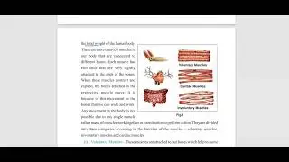 Class 10 Physical Education PSEB | Chapter 1 Effects of Exercise on Body Systems | #PSEB #Class10