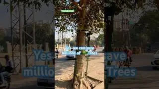 yes we can save millions of trees! 🌳