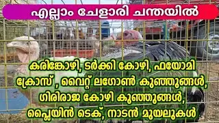 എല്ലാ ഇനം കോഴികൾ🐓കോഴി കുഞ്ഞുങ്ങൾ🐥 താറാവുകൾ🦆 മുയലുകൾ🐇 ചേളാരി ചന്തയിൽ #chicken #duck #rabbit