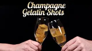 Champagne Gelatin Shots | HG Food | HelloGiggles