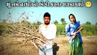 શું તમે હાથીઓ ભેગી કરતા શરમાવશો 😁#vlog 