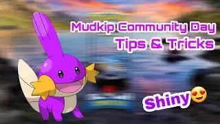 Mudkip Community Day Tips & Tricks | PokemonGo