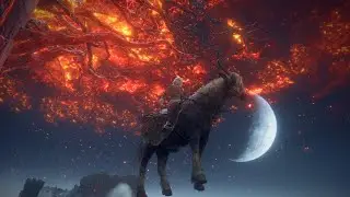 ELDEN RING - INSANE Flying Horse Glitch! (Tutorial)